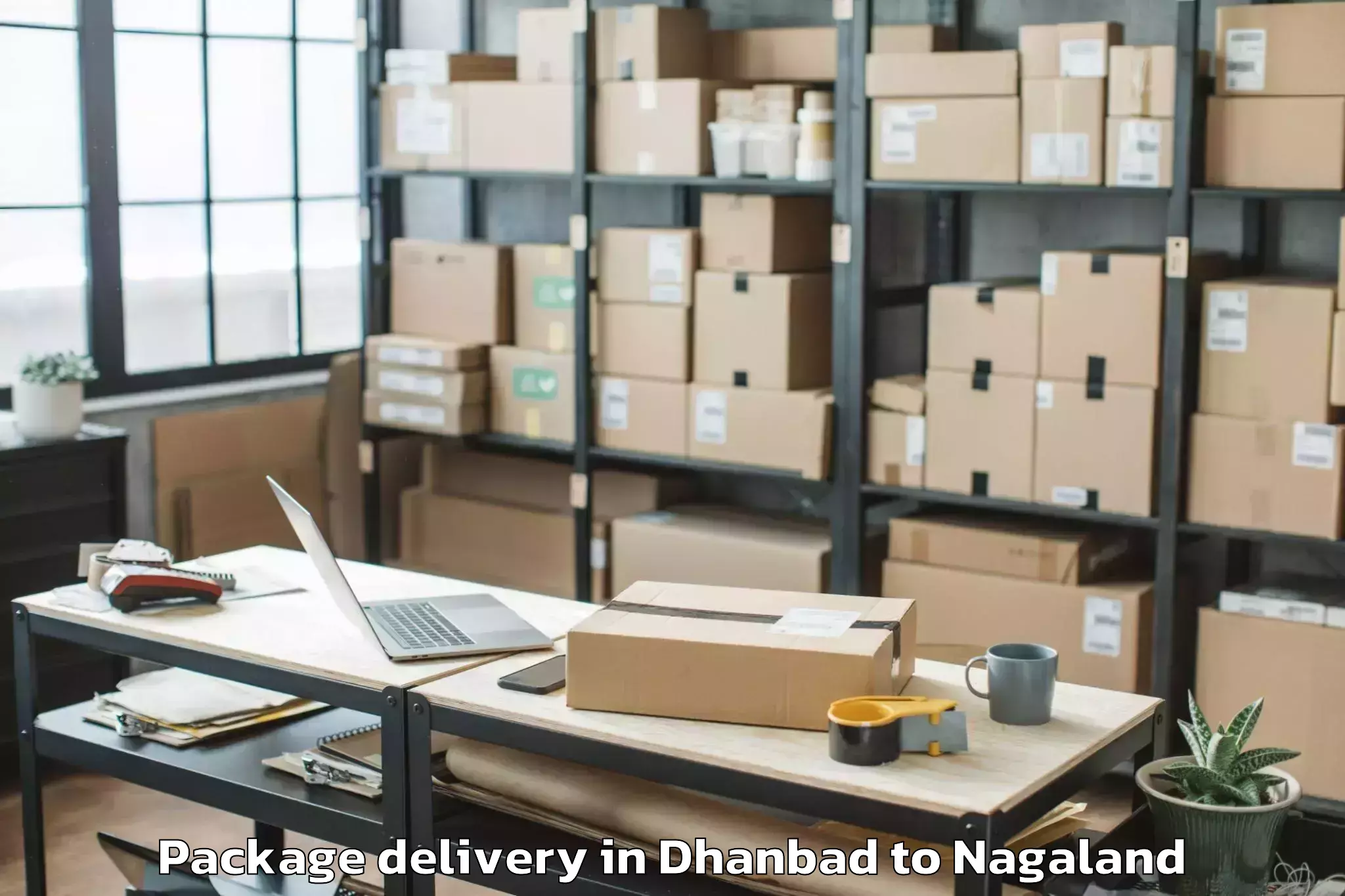 Easy Dhanbad to Sechu Zubza Package Delivery Booking